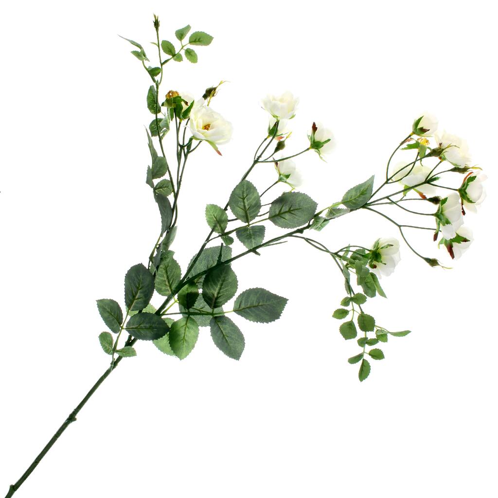 10451129.jpg img